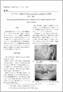 第3巻第1号