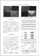 第3巻第1号